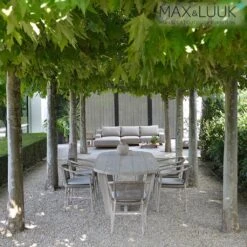 Ovaler Tisch Aus Hellem Teakholz Für Die Essecke Im Garten Von Max & Luuk - Lauren Tisch -Gartentis Verkaufe ovaler tisch aus hellem teakholz fuer die essecke im garten von max luuk lauren tisch3